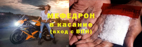 прущие грибы Зеленокумск