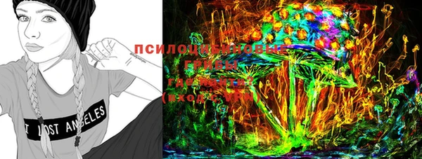 прущие грибы Зеленокумск