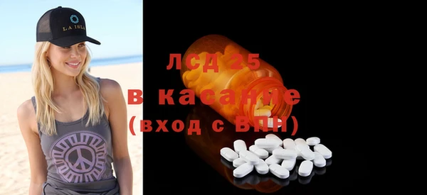 прущие грибы Зеленокумск