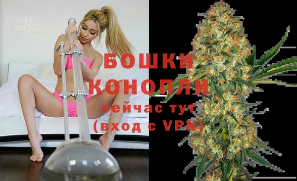 прущие грибы Зеленокумск