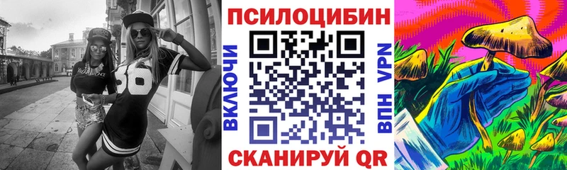 Галлюциногенные грибы Psilocybe  Купить  Глазов 